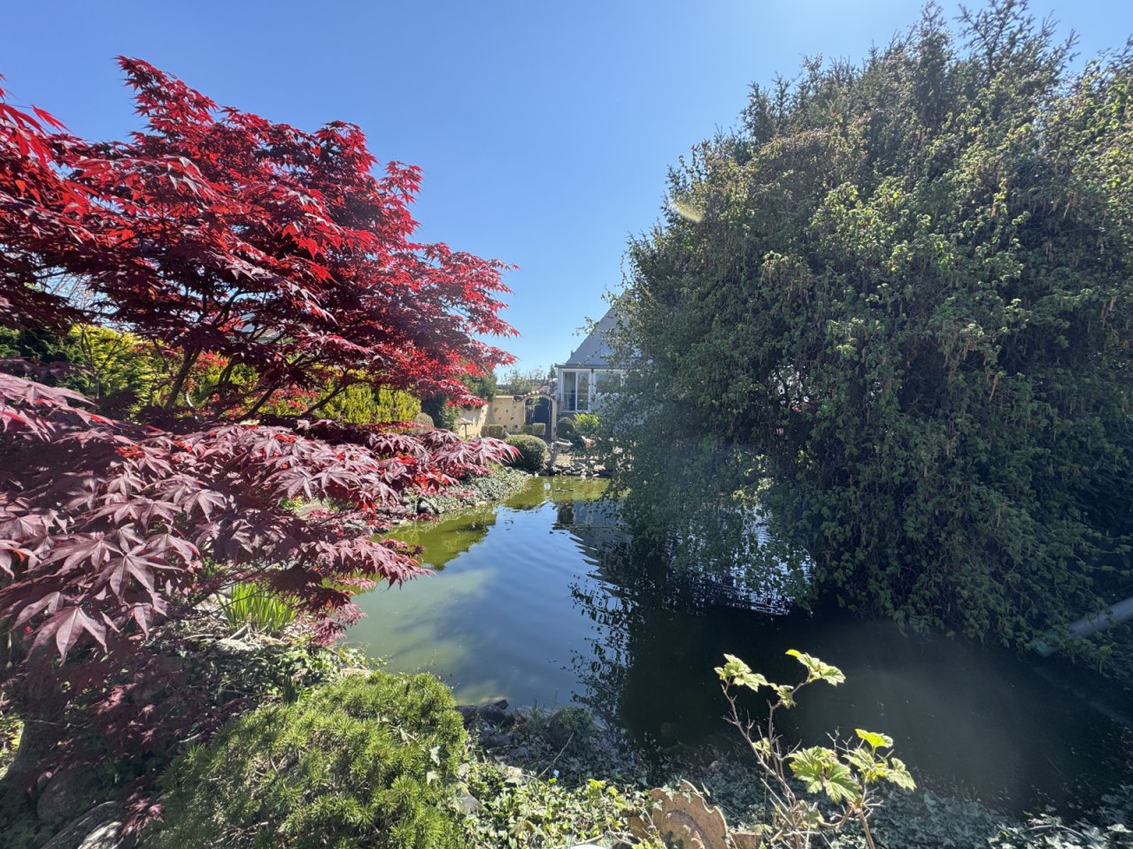 So schön kann Garten sein